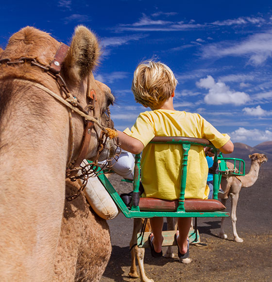 Ruta en camello Parque Timanfaya
