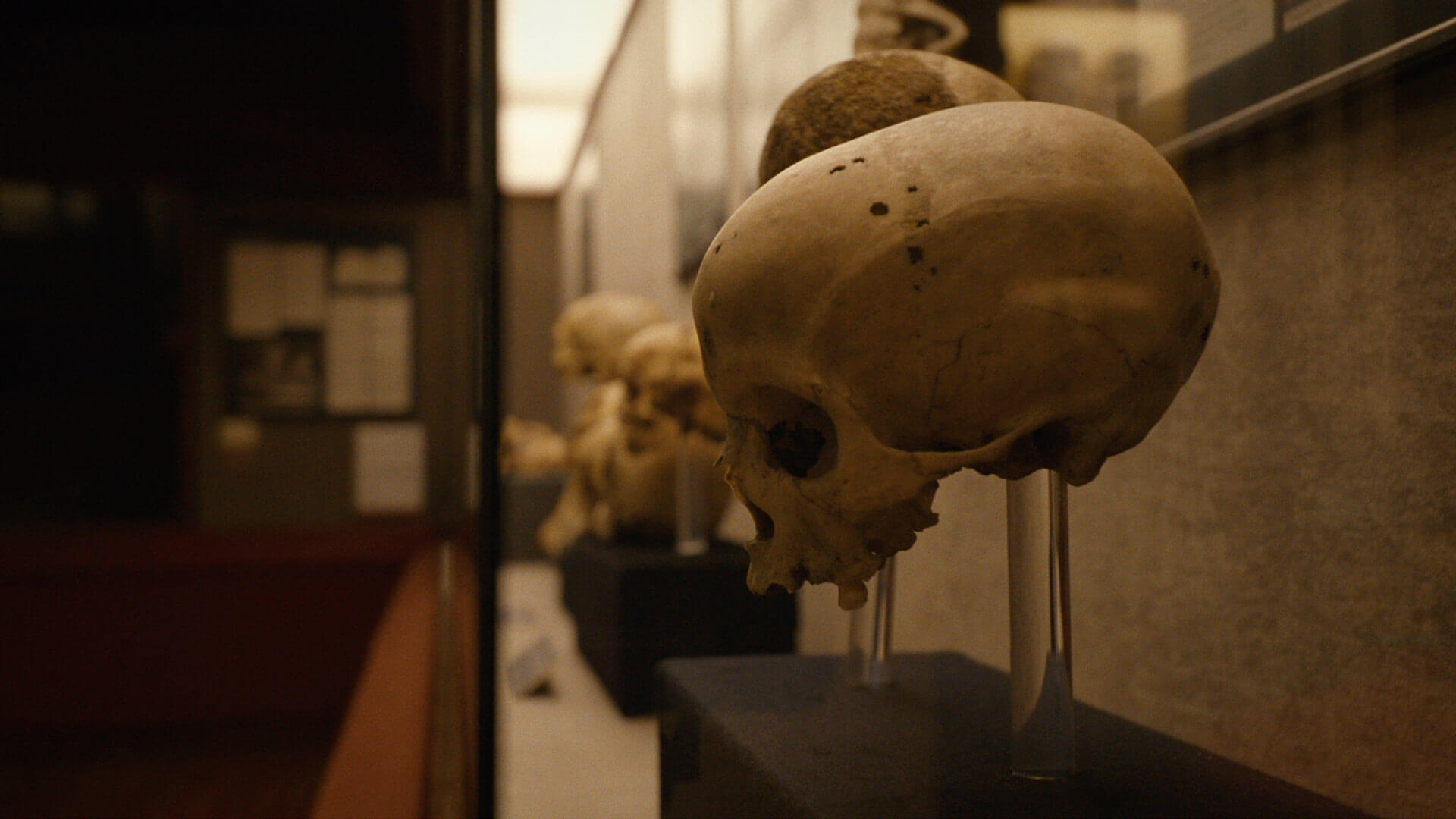 El Museo Canario, Gran Canaria