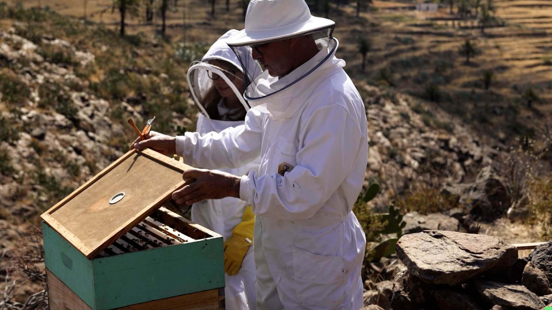 Maybeez – La Gomera