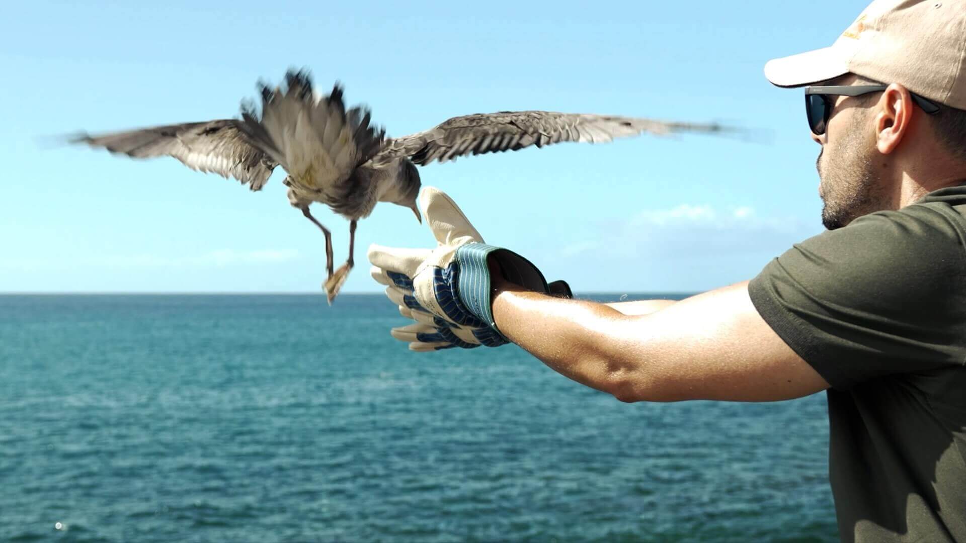 Iniciativa “El primer viaje” - Tenerife