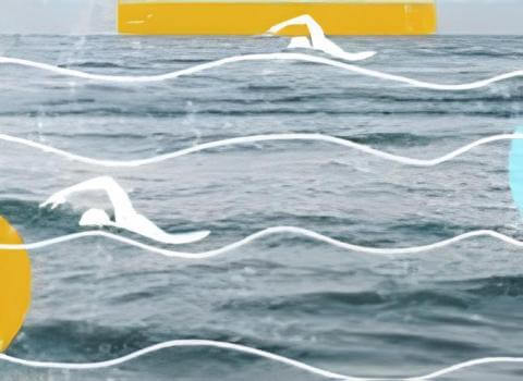 images_5_1