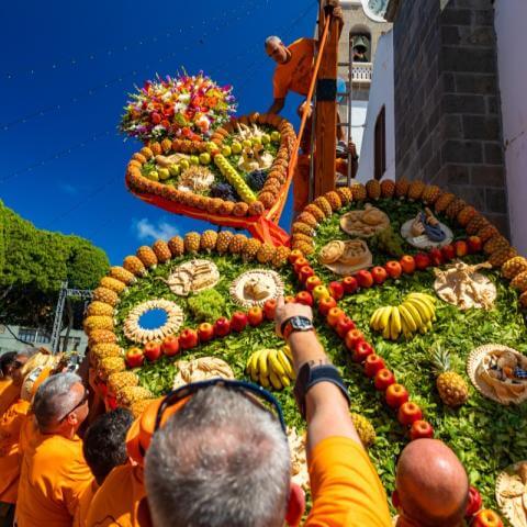 ph33487baja