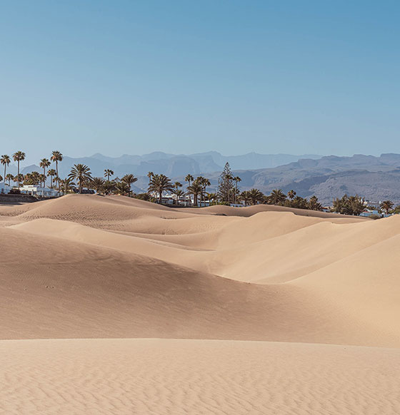 Dunas de Maspalomas 