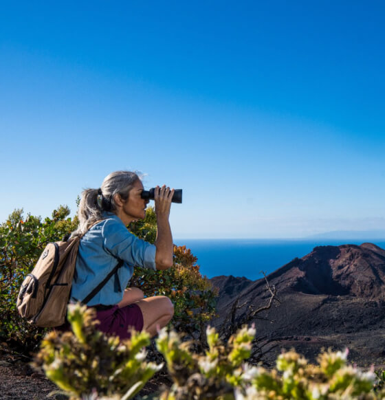 Volcán Teneguía, La Palma