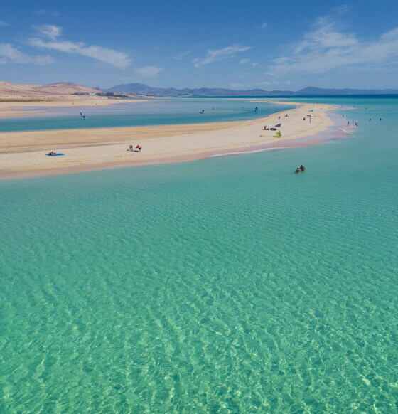 Welcome T.O.U.R.I.S.T.