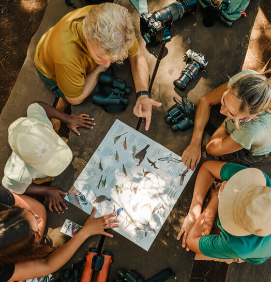 Grupo observando una lámina de aves sobre una mesa al aire libre, con prismáticos y cámaras fotográficas.