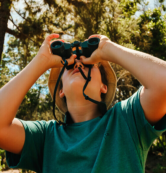 Persona observando el entorno forestal con prismáticos bajo la luz del sol.