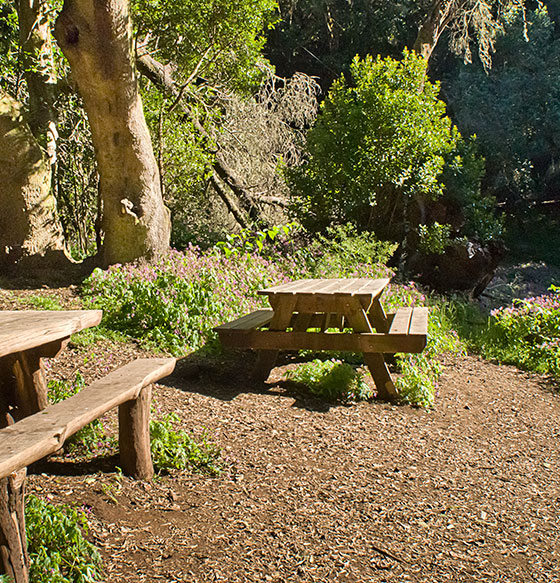 Jardín de Las Creces