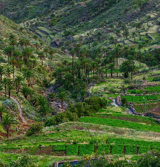 Imada - Pajarito - Alto de Garajonay - Igualero - Imada