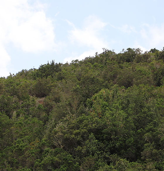 Presa Amalahuigue - Cruz de Tierno - Raso del Quebradón - Serpa - La Palmita - Raso Volteado - Presa de Amalahuigue
