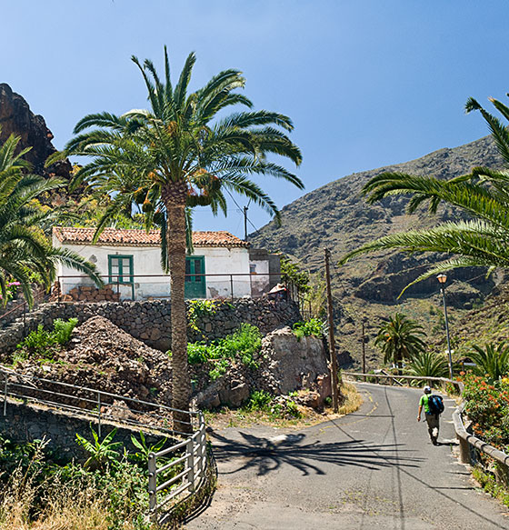 Degollada de Peraza - Jerduñe - Contreras - El Joradillo - Tecina - Playa Santiago