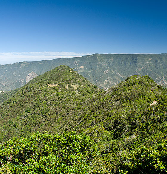Barranquillos