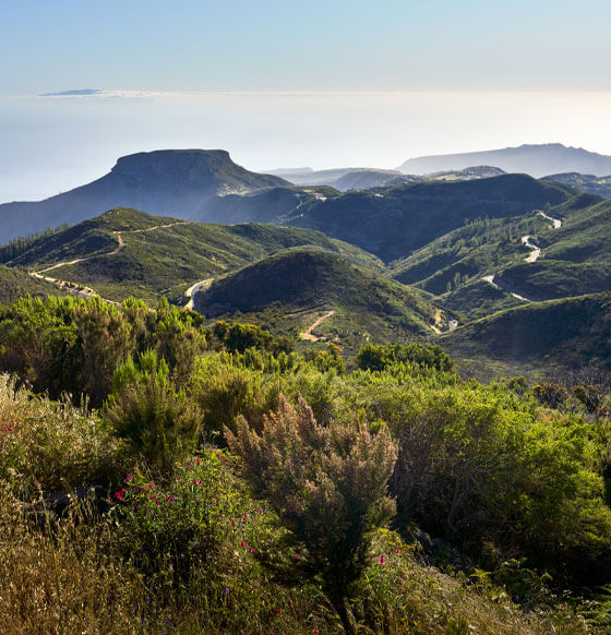 Parque Nacional Garajonay - listado