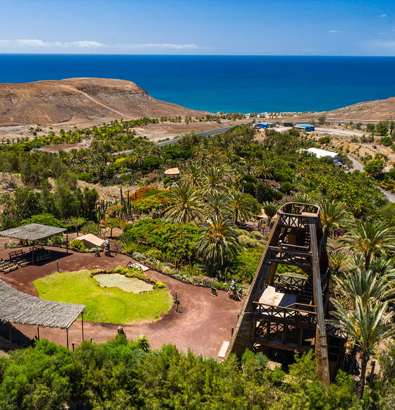Oasis Park Fuerteventura - listado
