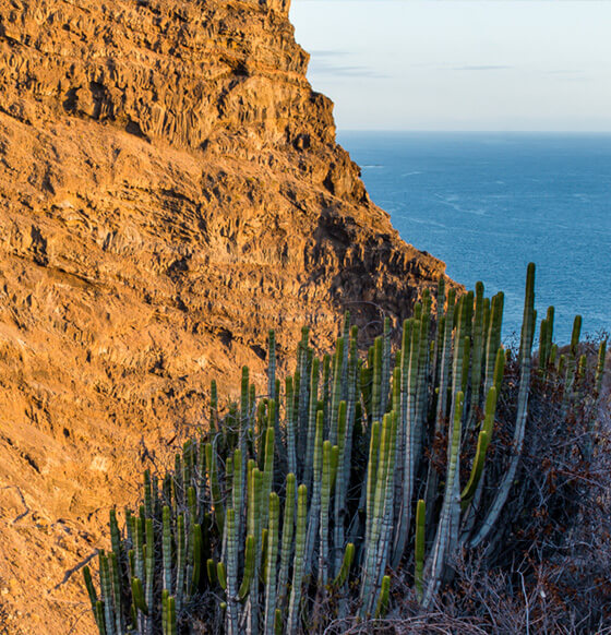 Barranco del Jurado - listado