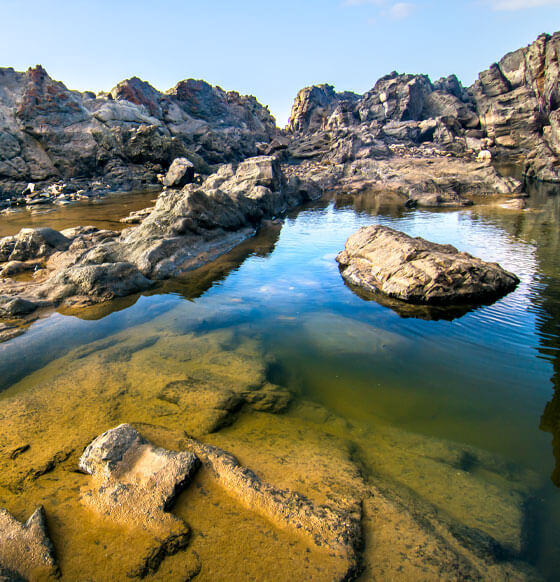 Aguas verdes - listado