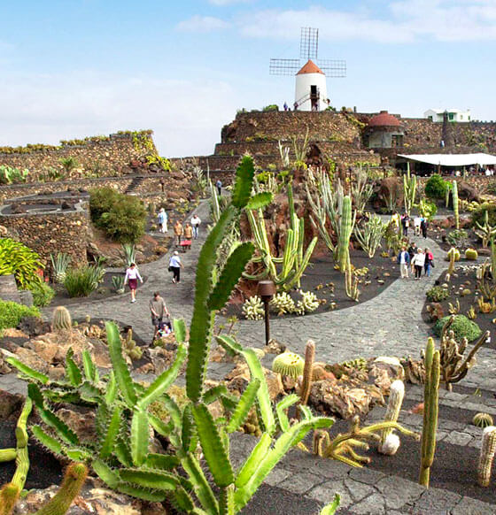 Visita a los Jameos del Agua y Jardín de Cactus - listado