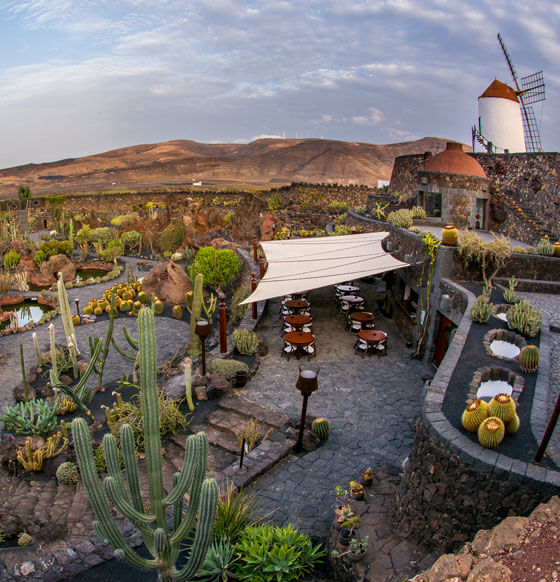 Excursión al Jardín de Cactus, Mirador del Río y Jameos del Agua - listado