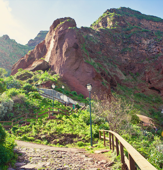  Barranco de Guayadeque - listado