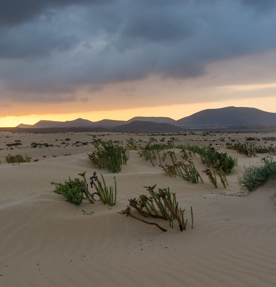 Ruta en coche por Puerto del Rosario, La Oliva y Corralejo.  - listado