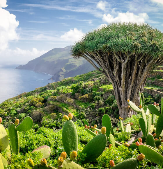 El Tablado, La Palma 