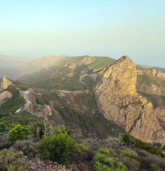 Roques de Agando, Ojila y Zarcita