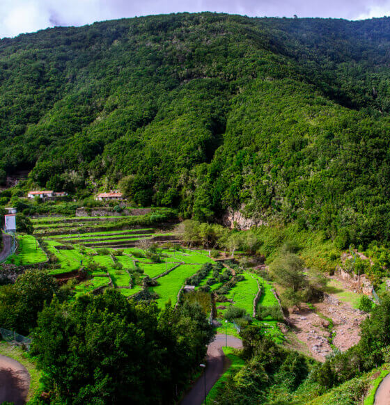 Caserío de El Cedro