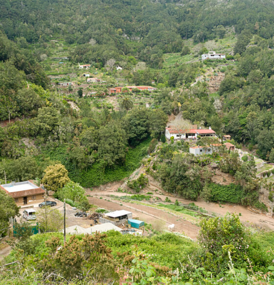 Sendero Contadero-El Cedro