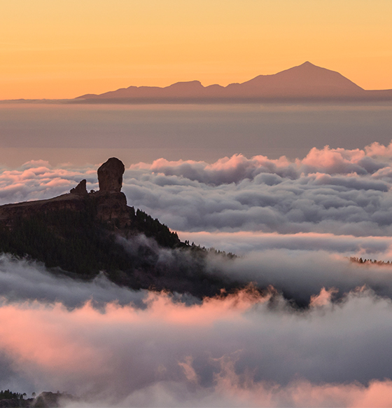 Pico de las Nieves