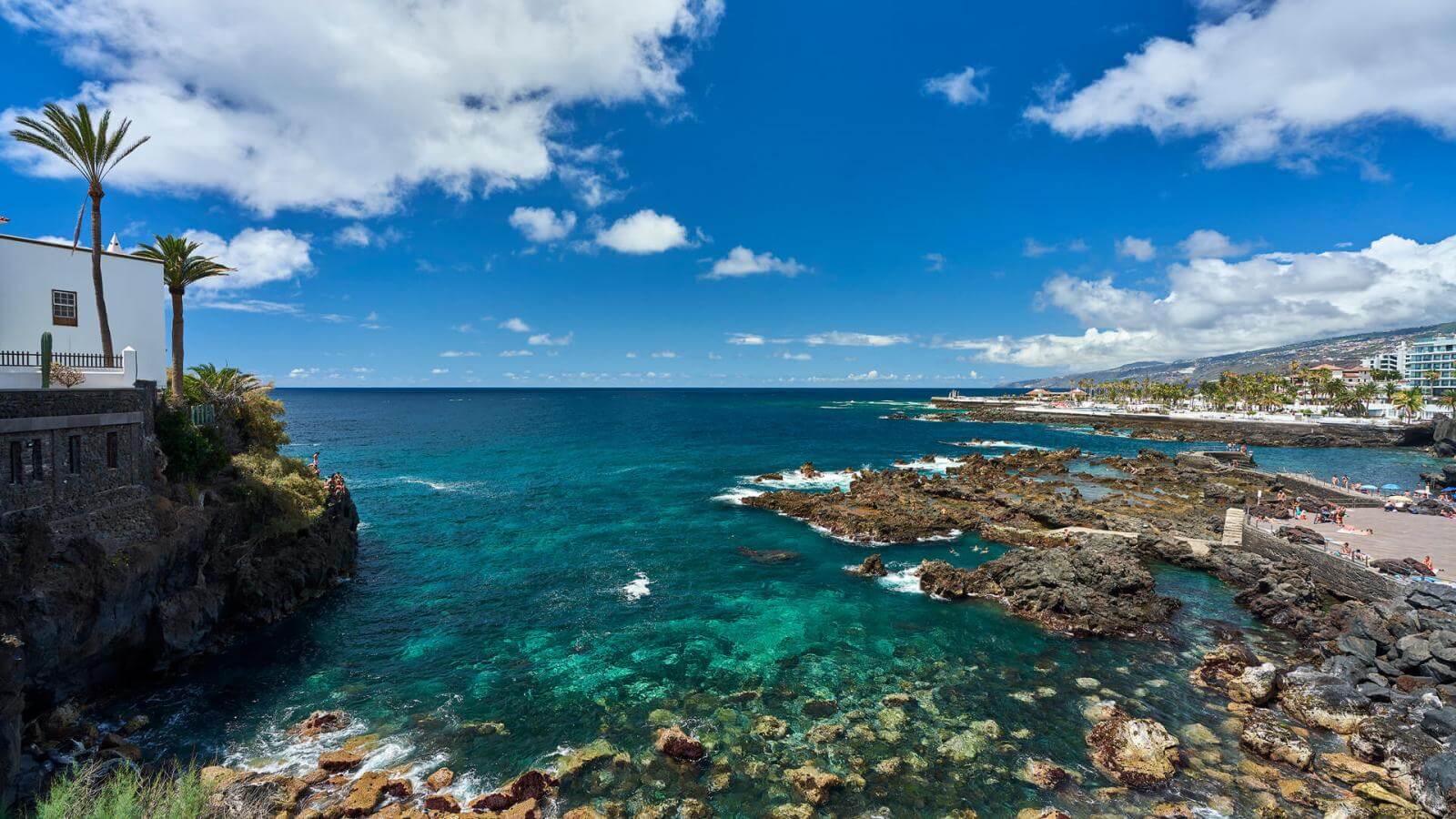 Trasplante Una efectiva Rafflesia Arnoldi Puerto de La Cruz | Hola Islas Canarias