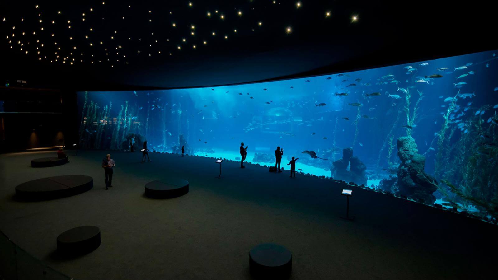 consumirse Restringir traqueteo Acuario Poema del Mar | Hola Islas Canarias