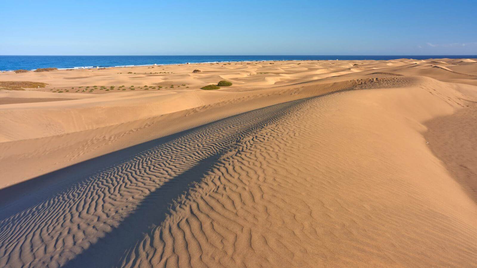 Playa de Maspalomas in Gran Canaria