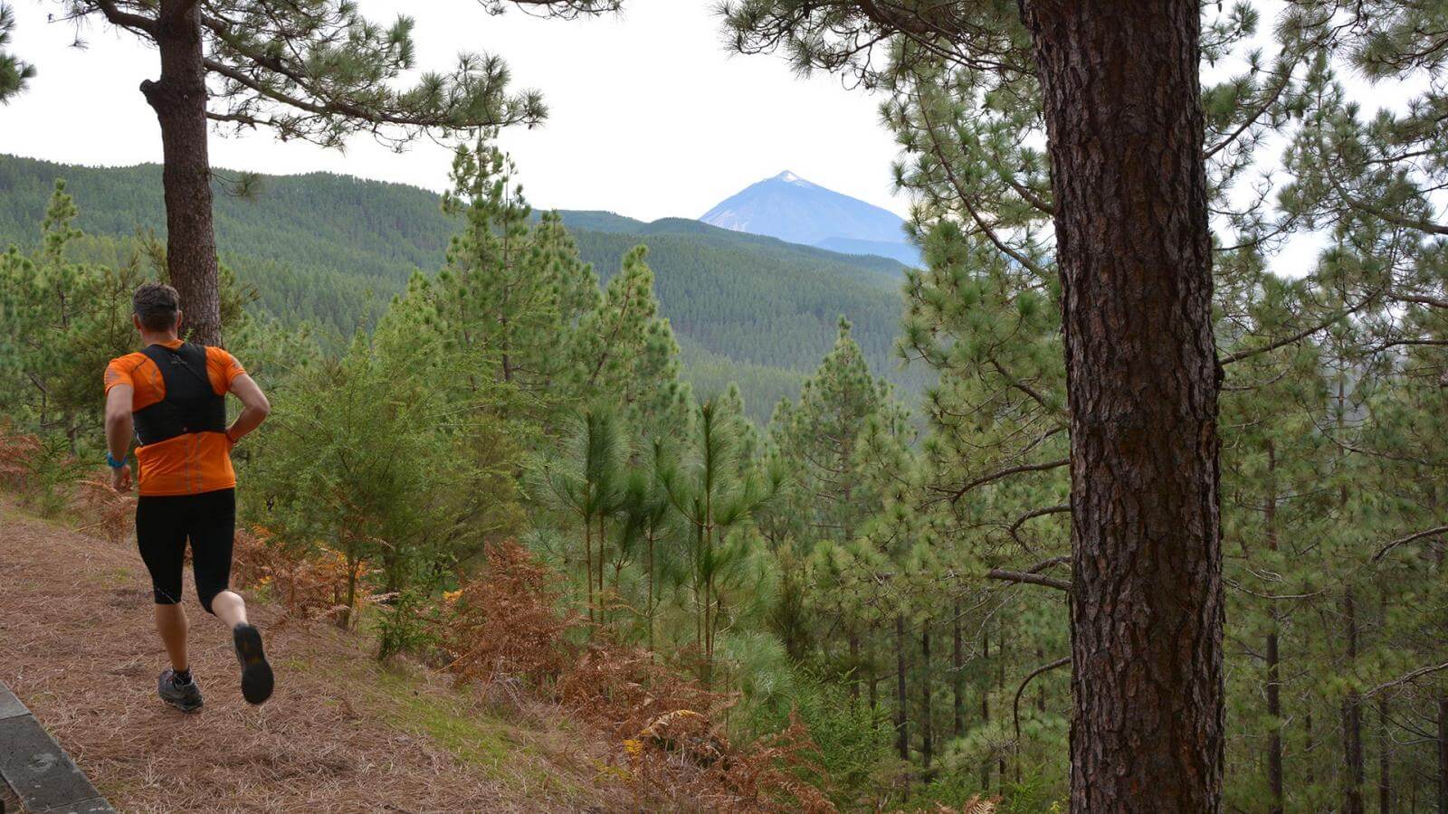 La Esperanza Hola Islas Canarias