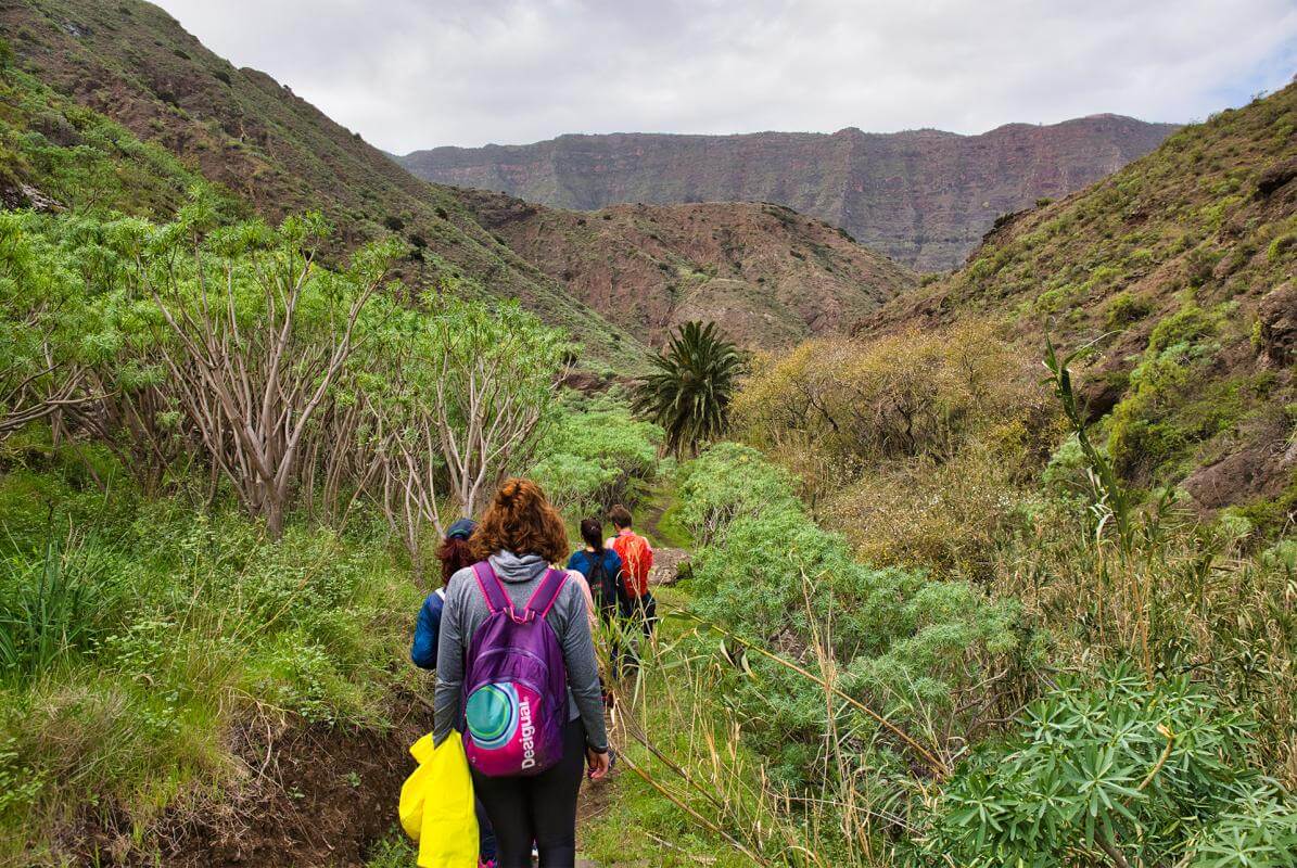 Imagen - Agosto en las IC - Experiencias Wellness en La Gomera