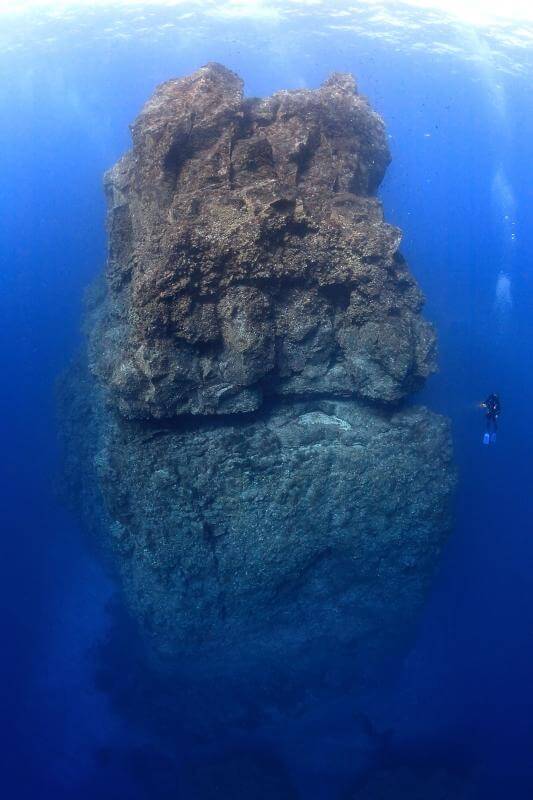 Submarismo. El Hierro Baja Bocarones