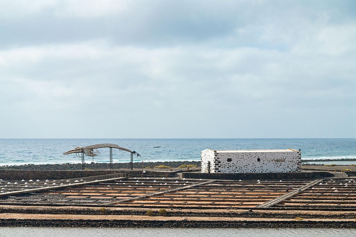 Fuerteventura. Salinas del Carmen