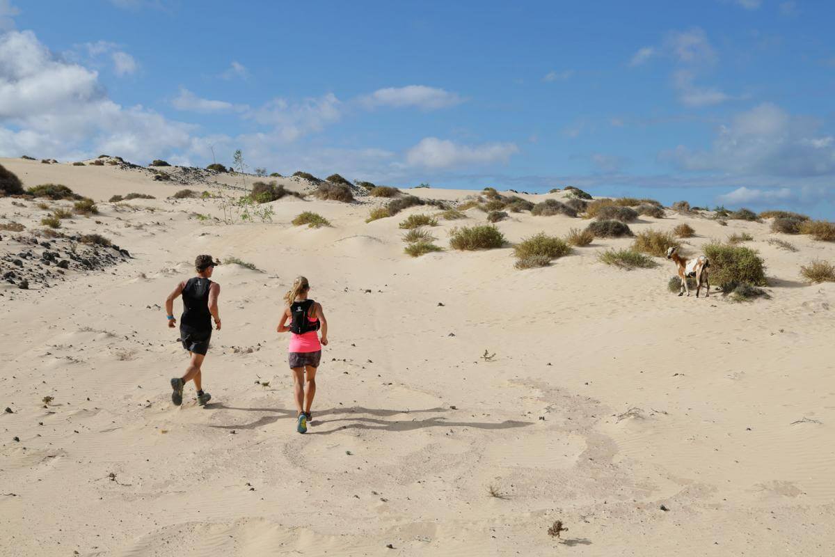 Fuerteventura. Dunas Corralejo