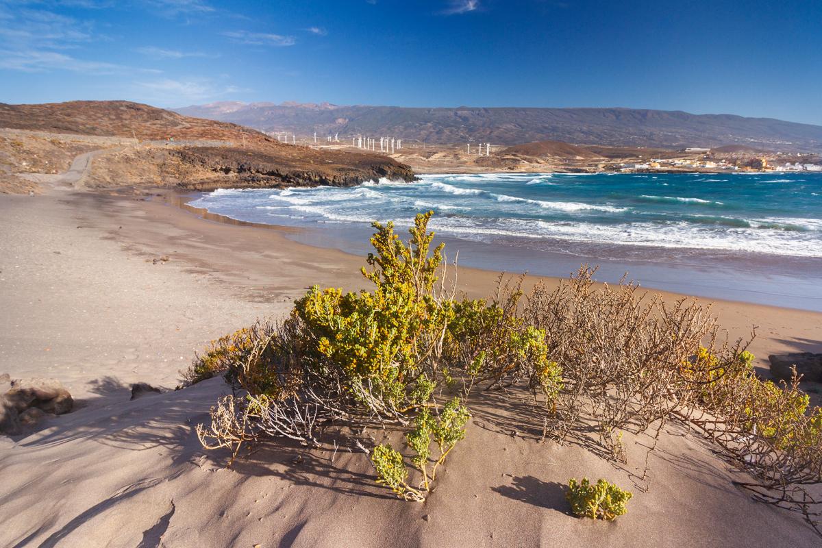 Tenerife. Poris de Abona