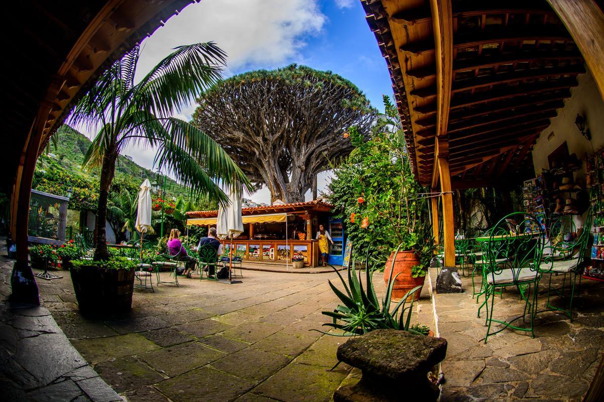 Tenerife. Parque Drago Milenario