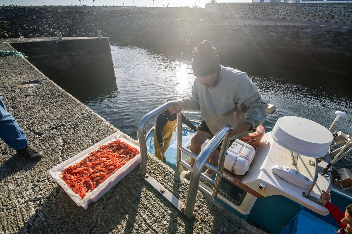 Lanzarote. Puerto de La Santa. Pesca del camaron