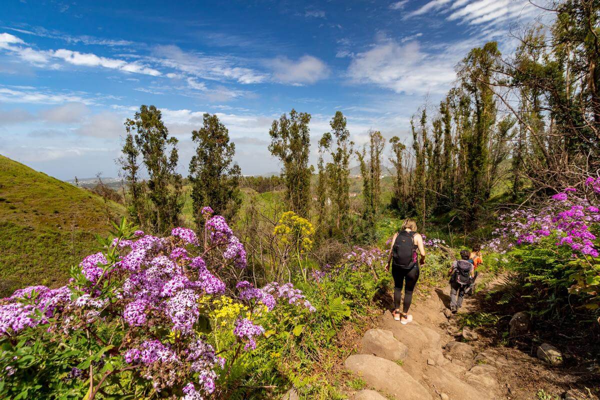 Gran Canaria. Sendero Fontanales