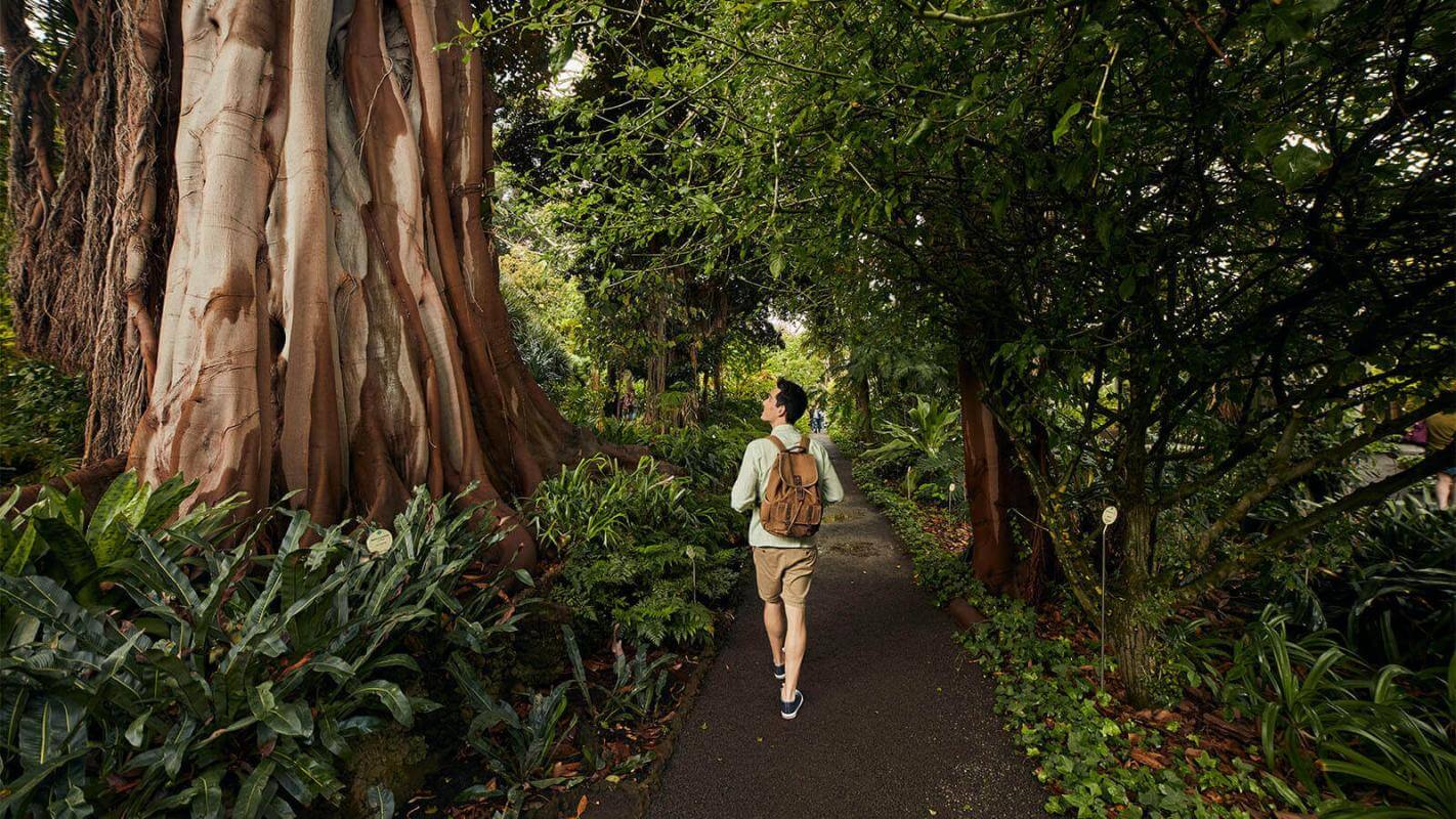 Jardín Botánico del Puerto de La Cruz. Tenerife.