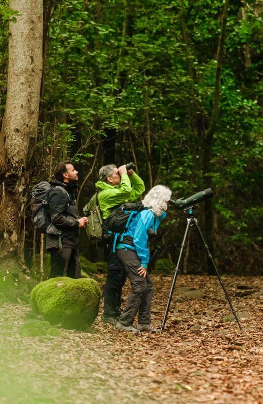 Personas observando aves con telescopio en bosque verde del Parque Rural de Anaga en Tenerife.