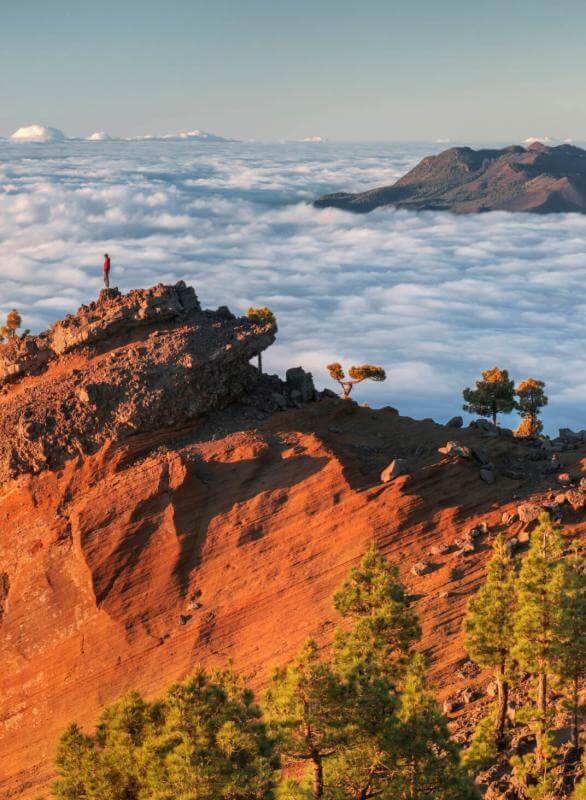 La Punta de los Roques en La Palma, con crestas volcánicas iluminadas, mar de nubes y pinar canario en primer plano.