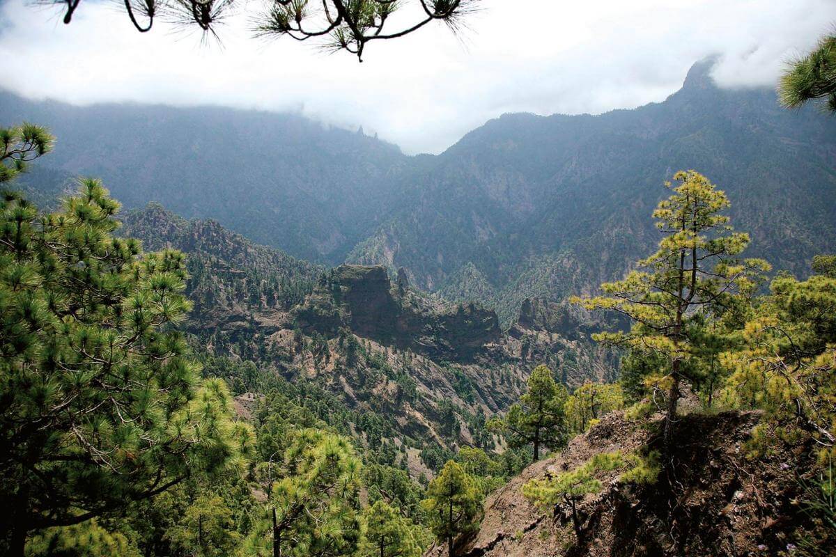 Ruta en coche por Santa Cruz de La Palma, Roque de Los Muchachos y Tazacorte.  - galeria6