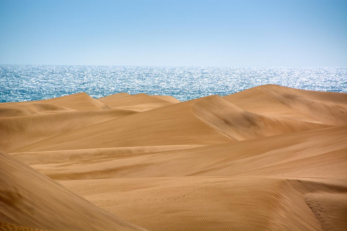 Reserva Natural Especial de las Dunas de Maspalomas, en Gran Canaria