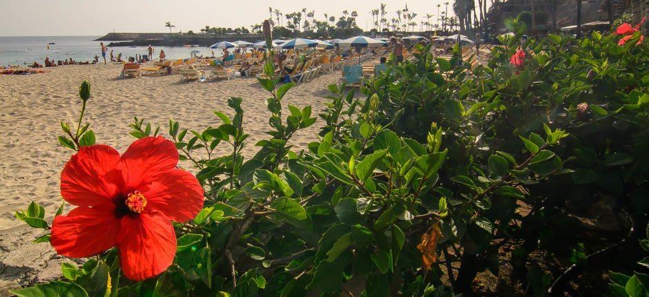 Anfi del Mar Playas para niños de Gran Canaria