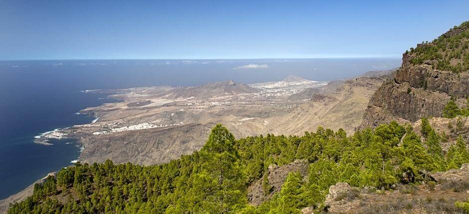 Tamadaba-Bajada de Faneque. Senderos de Gran Canaria