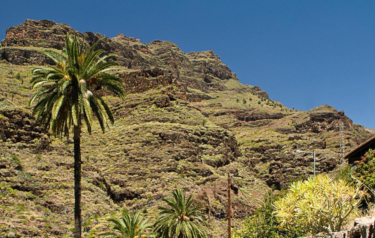 Benchijigua-Playa Santiago. Senderos de La Gomera