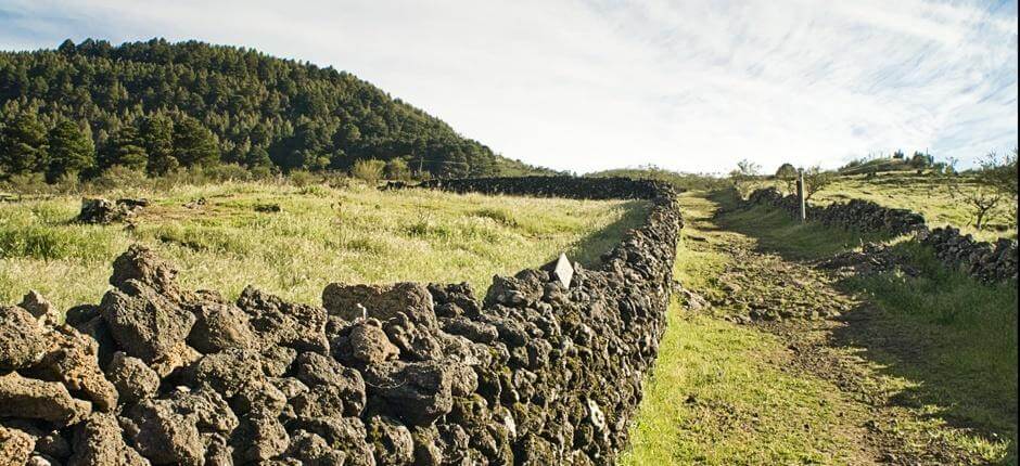 Camino de la Virgen. Senderos de El Hierro